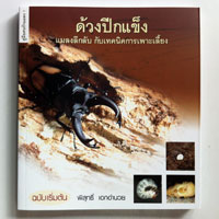 ด้วงปีกแข็ง