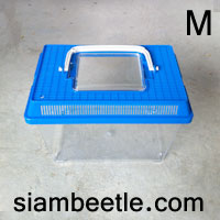 กล่องเลี้ยงด้วง Beetle case เบอร์ M