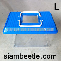 กล่องเลี้ยงด้วง Beetle case เบอร์ L