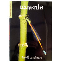 โลกของแมลงปอ