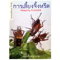 โลกของตั๊กแตน จิ้งหรีด เล่ม 1 การเลี้ยงจิ้งหรีด