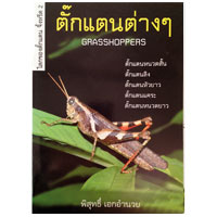 โลกของตั๊กแตน จิ้งหรีด เล่ม 2 ตั๊กแตนต่างๆ