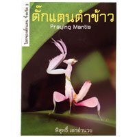 โลกของตั๊กแตน จิ้งหรีด เล่ม 3 ตั๊กแตนตำข้าว