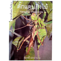 โลกของตั๊กแตน จิ้งหรีด เล่ม 4 ตั๊กแตนกิ่งไม้