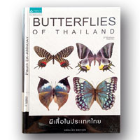 Butterflies of Thailand