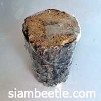 ขอนไม้ผุญี่ปุ่น ขนาด M 6-8ซม.